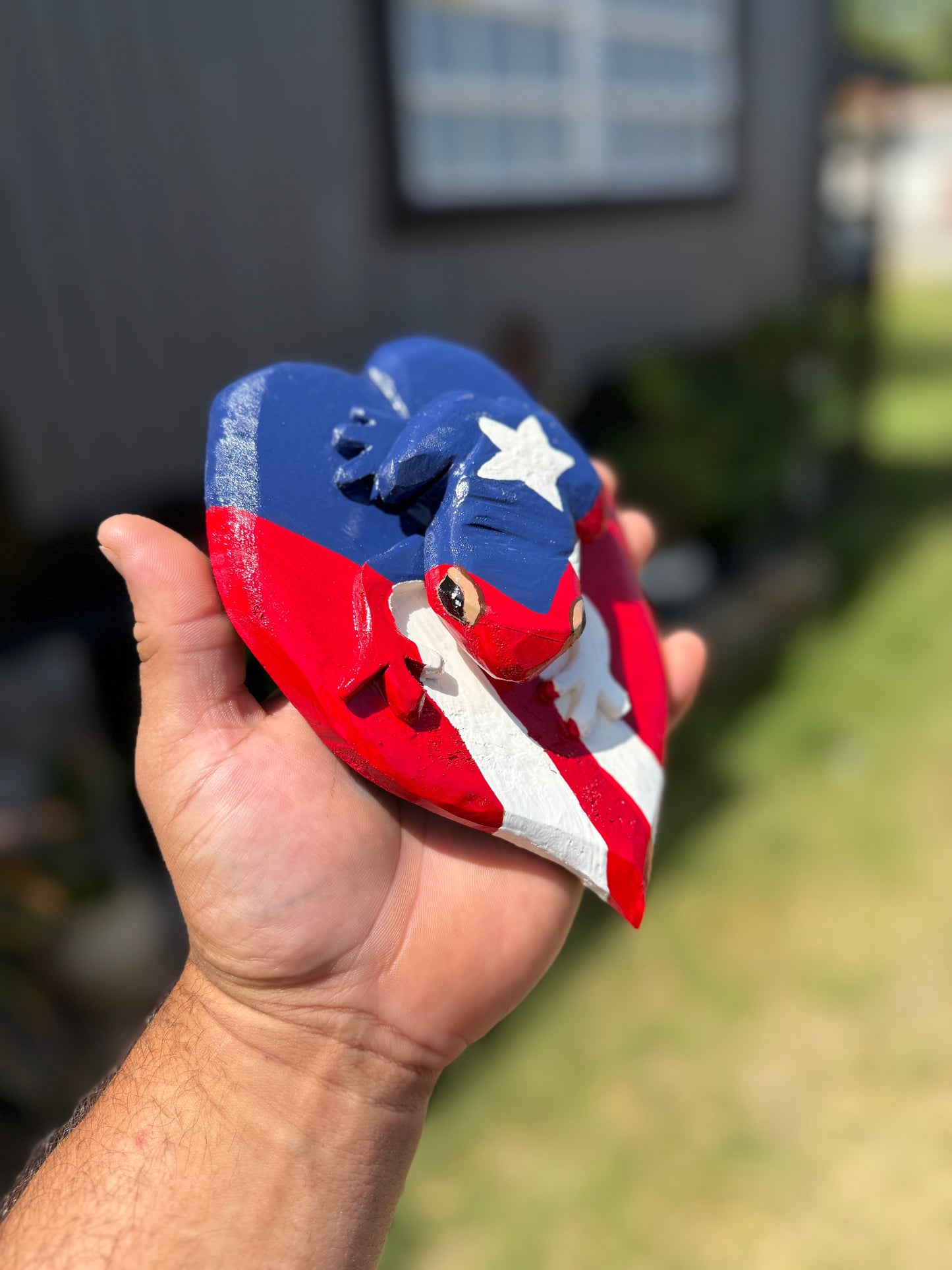 COQUI DE PUERTO RICO CON BANDERA